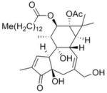 Phorbol 12-myristate 13-acetate (PMA)