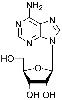 Adenosine