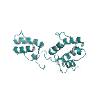 Recombinant human CDNF protein
