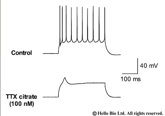 Figure 3. TTX citrate mediated inhibition of action potential firing upon post synaptic current injection in cortical neuron