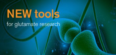 Browse glutamate agonists, antagonists and modulators Glutamate agonists, antagonists and modulators