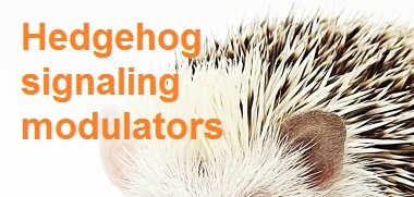 Hedgehog signaling modulators Hedgehog signaling modulators