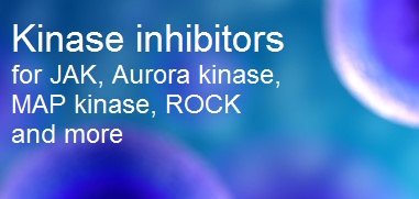 Kinase inhibitors and activators Kinase inhibitors and activators