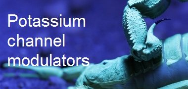 Potassium channel modulators Potassium channel modulators