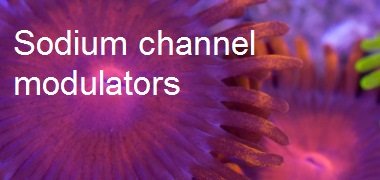 Sodium channels range Sodium channels range