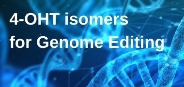 Browse 4-OHT isomers, 4-OHT isomers for genome editing