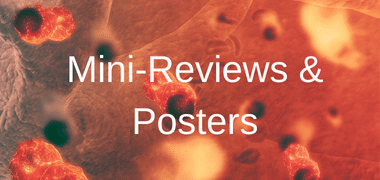 Browse by Product Type Mini-Reviews & Product Guides